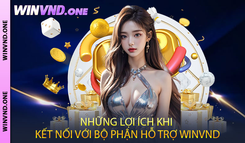 Những lợi ích khi kết nối với bộ phận hỗ trợ WINVND